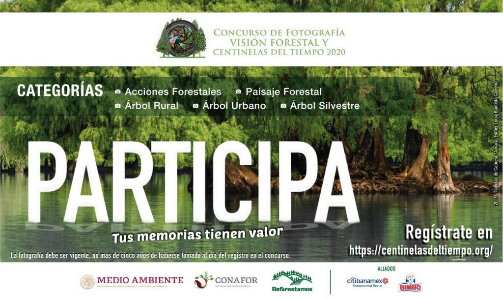 Concurso Nacional de Fotografía “Visión Forestal y Centinelas del Tiempo”
