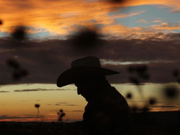 Titixe. Cine Mexicano en Sala&nbsp;Virtual