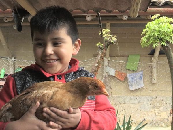 Ambulante presenta su programación de&nbsp;otoño