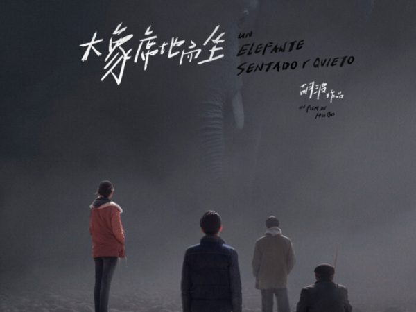 AN ELEPHANT SITTING&nbsp;STILL