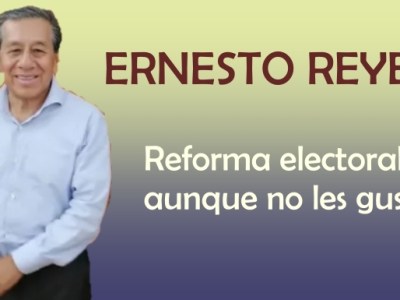 Reforma electoral, aunque no les&nbsp;guste