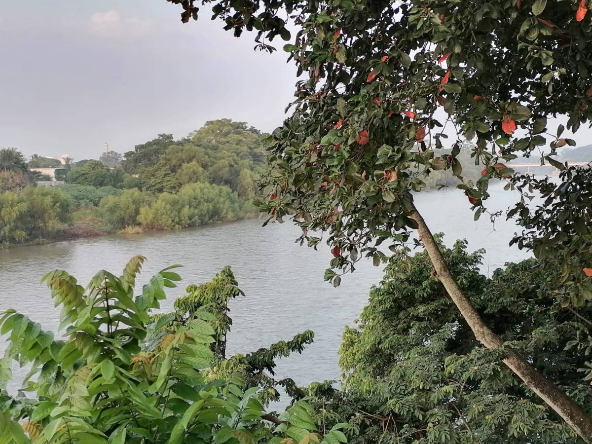 La política desde&nbsp;lejos